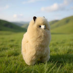 Lucky Alpacas (Large)