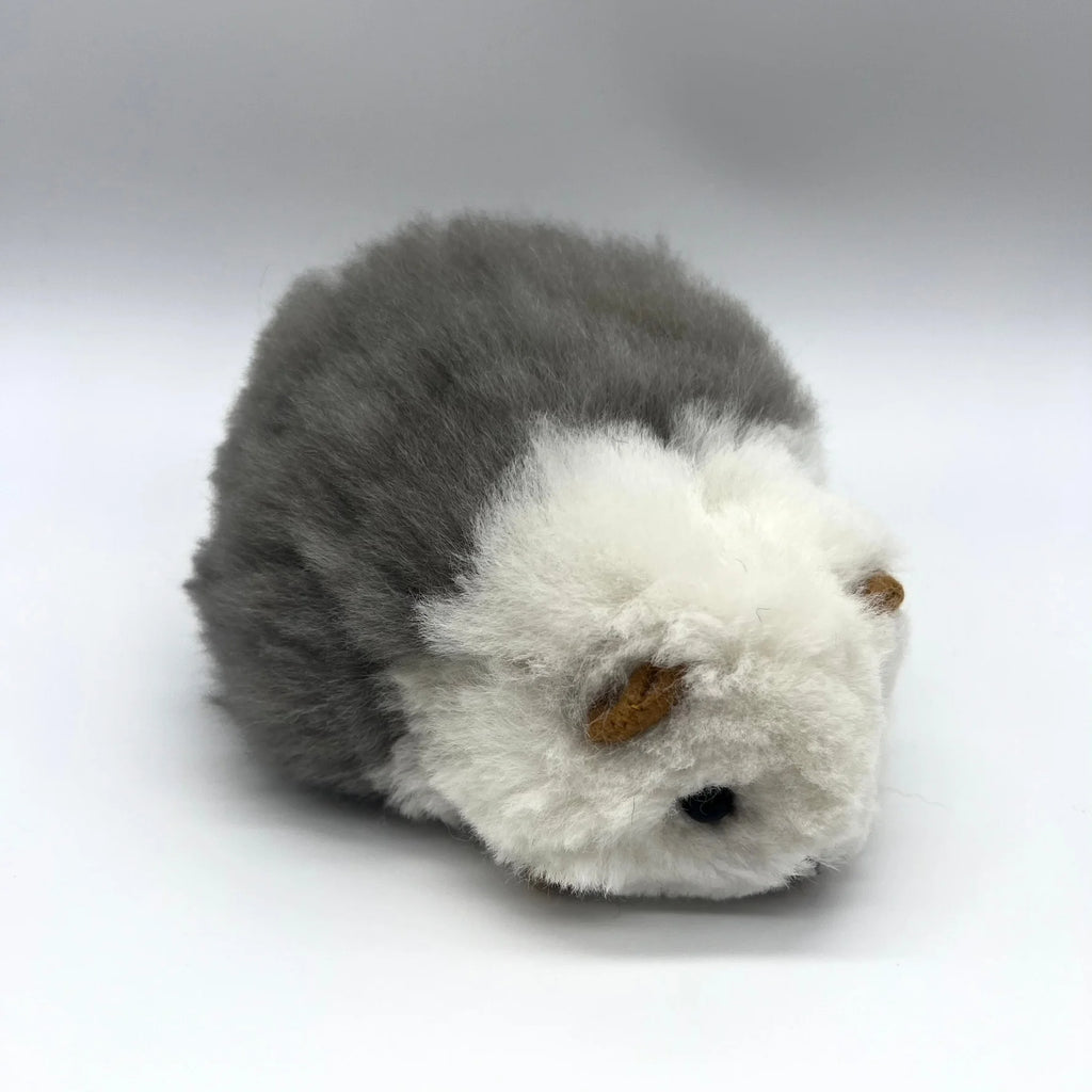 Lucky Cuy (Mini)