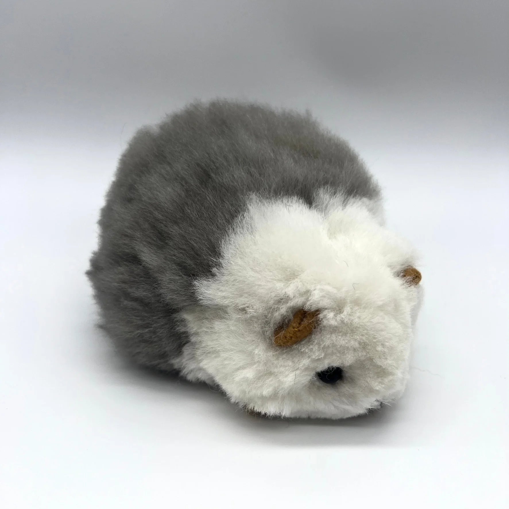 Lucky Cuy (Mini)
