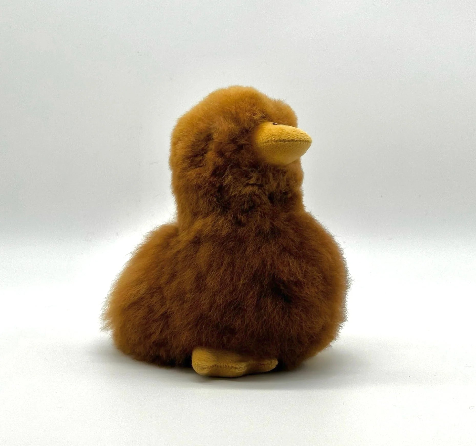 Lucky Ducks