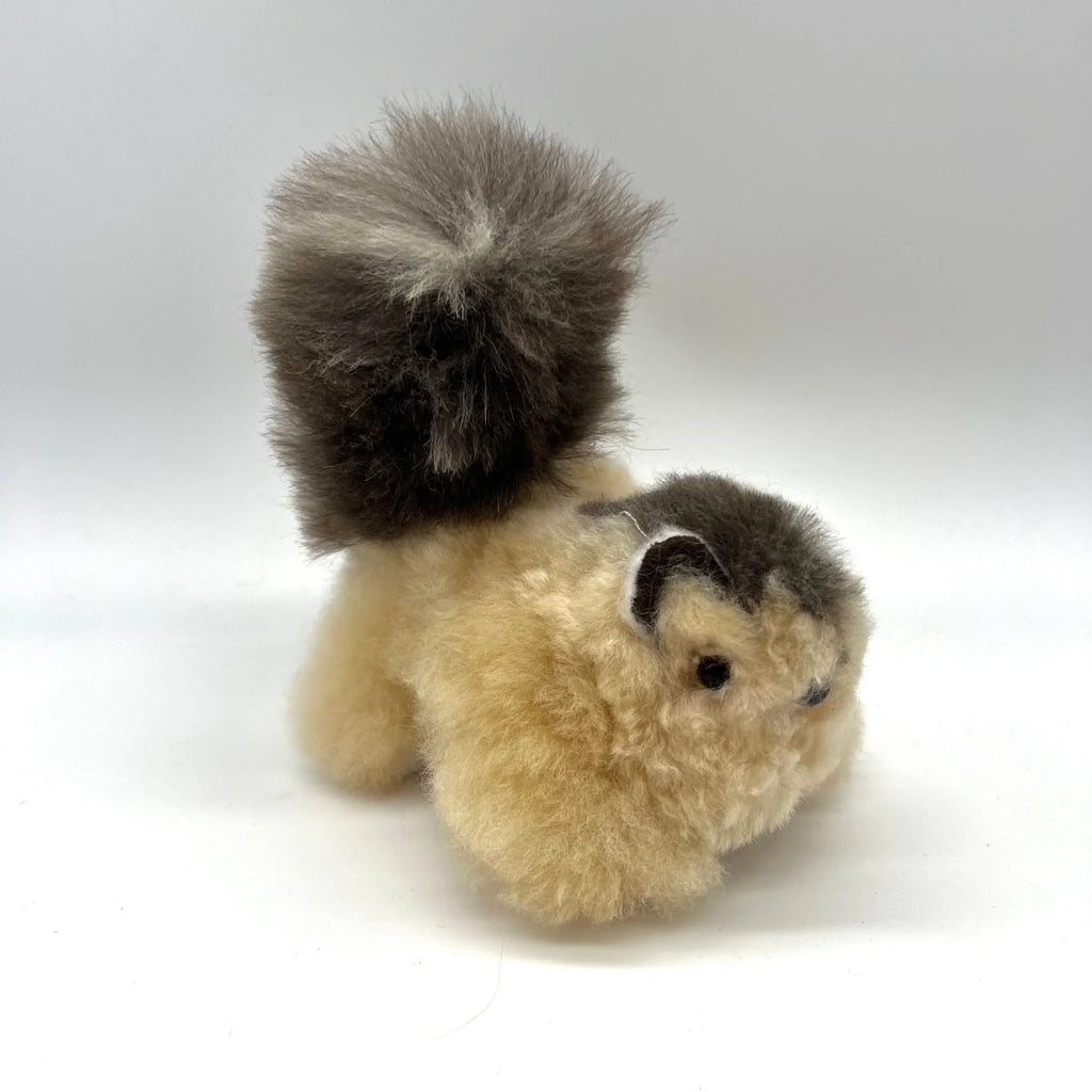Lucky Squirrels