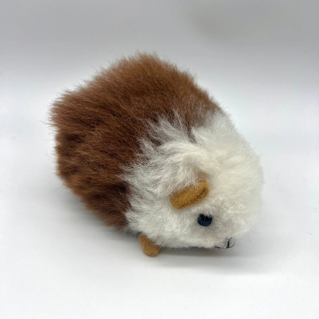 Lucky Cuy (Mini)