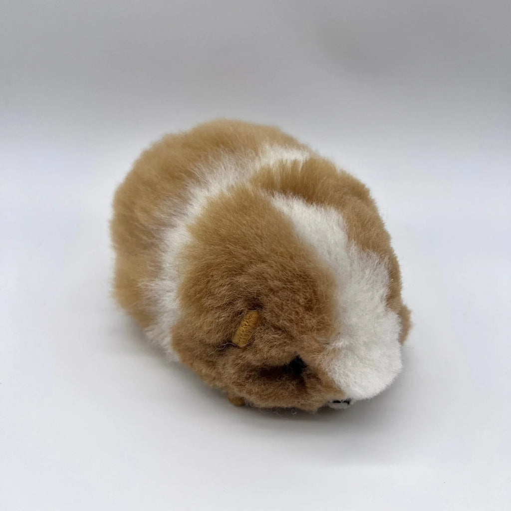Lucky Cuy (Mini)