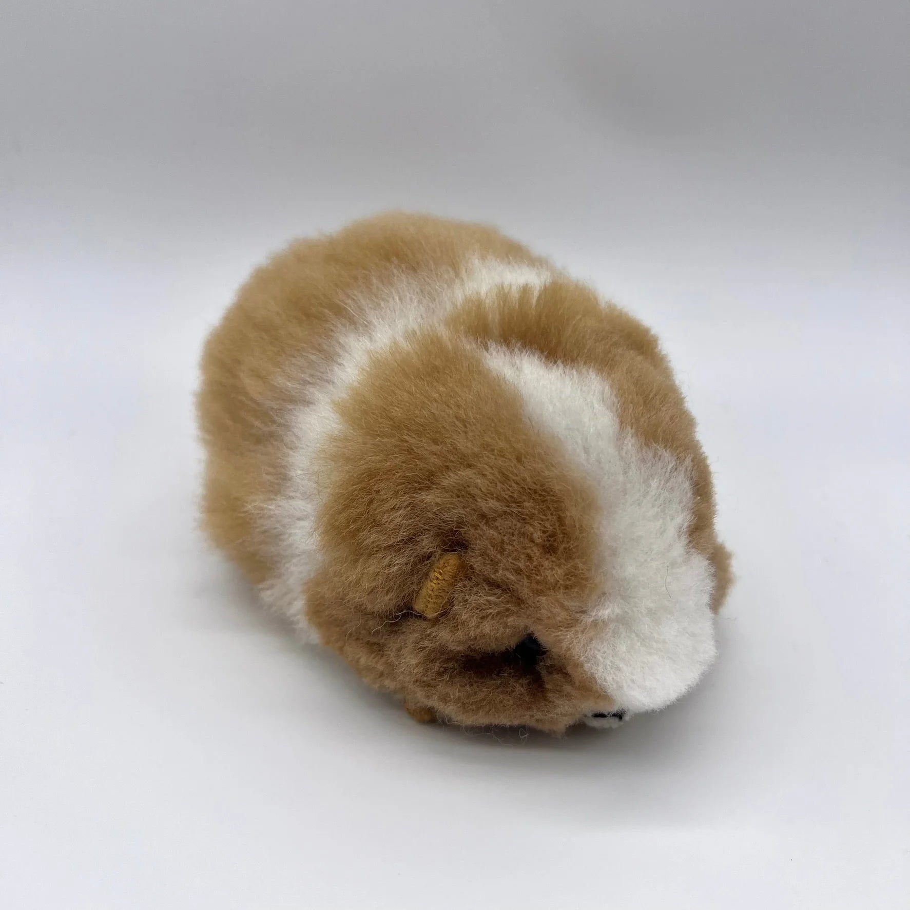 Lucky Cuy (Mini)