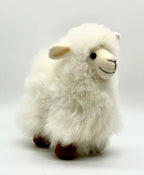 Lucky Lambs