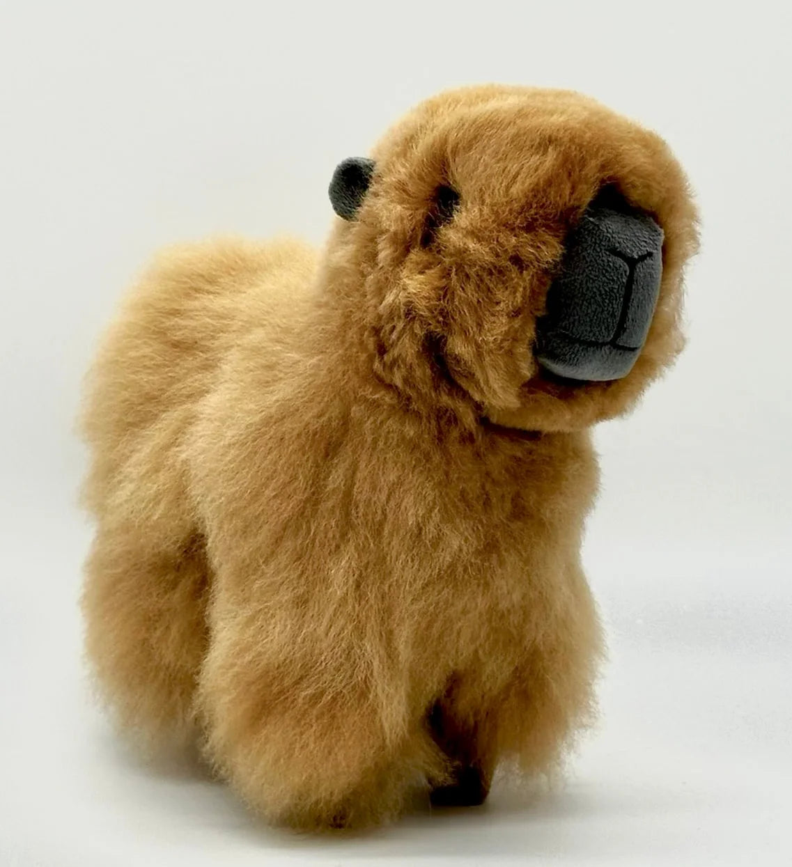 Lucky Capybaras