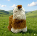Lucky Alpacas (Large)