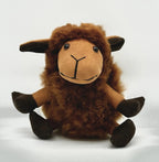 Lucky Sheep