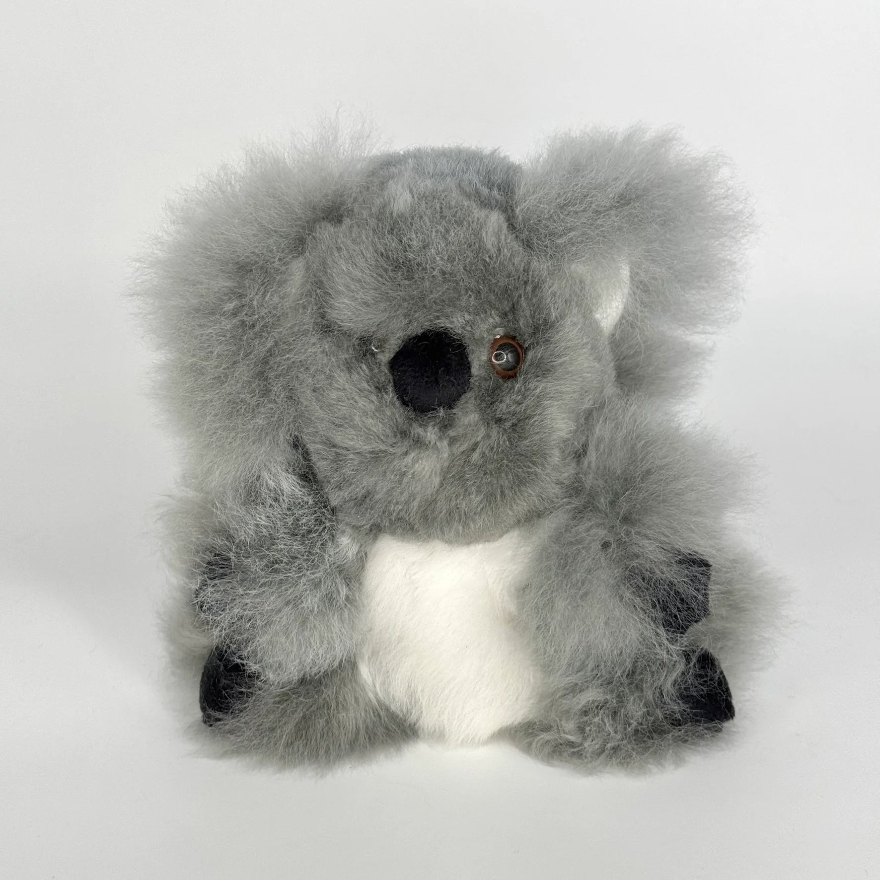 Lucky Koalas (Small)