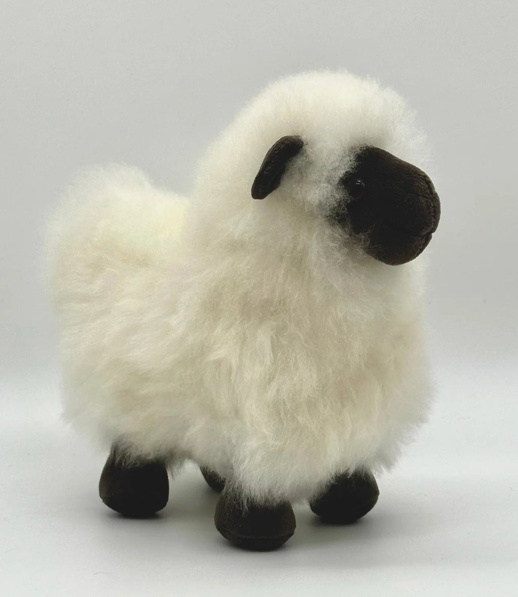Lucky Lambs