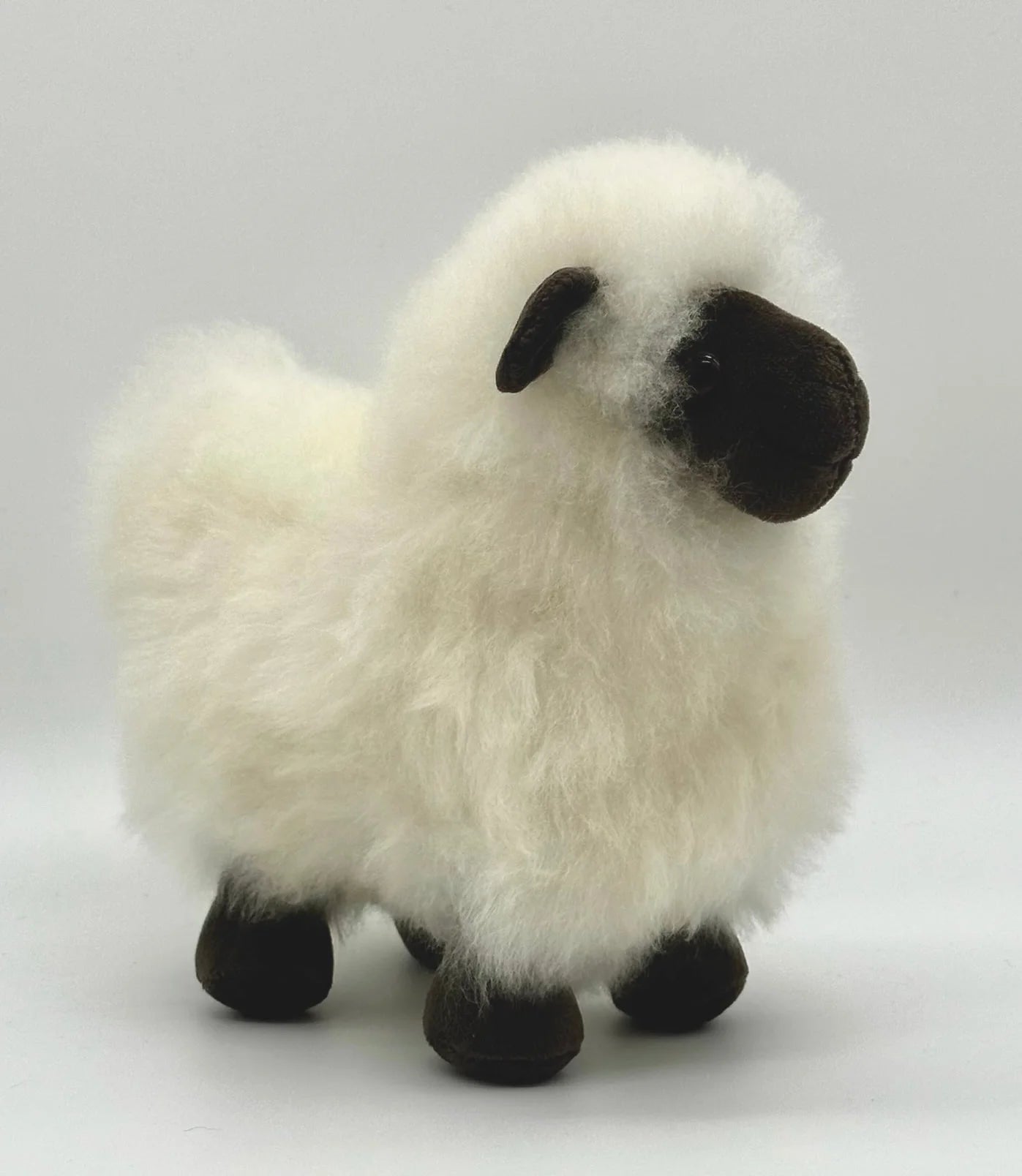 Lucky Lambs