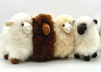 Lucky Lambs