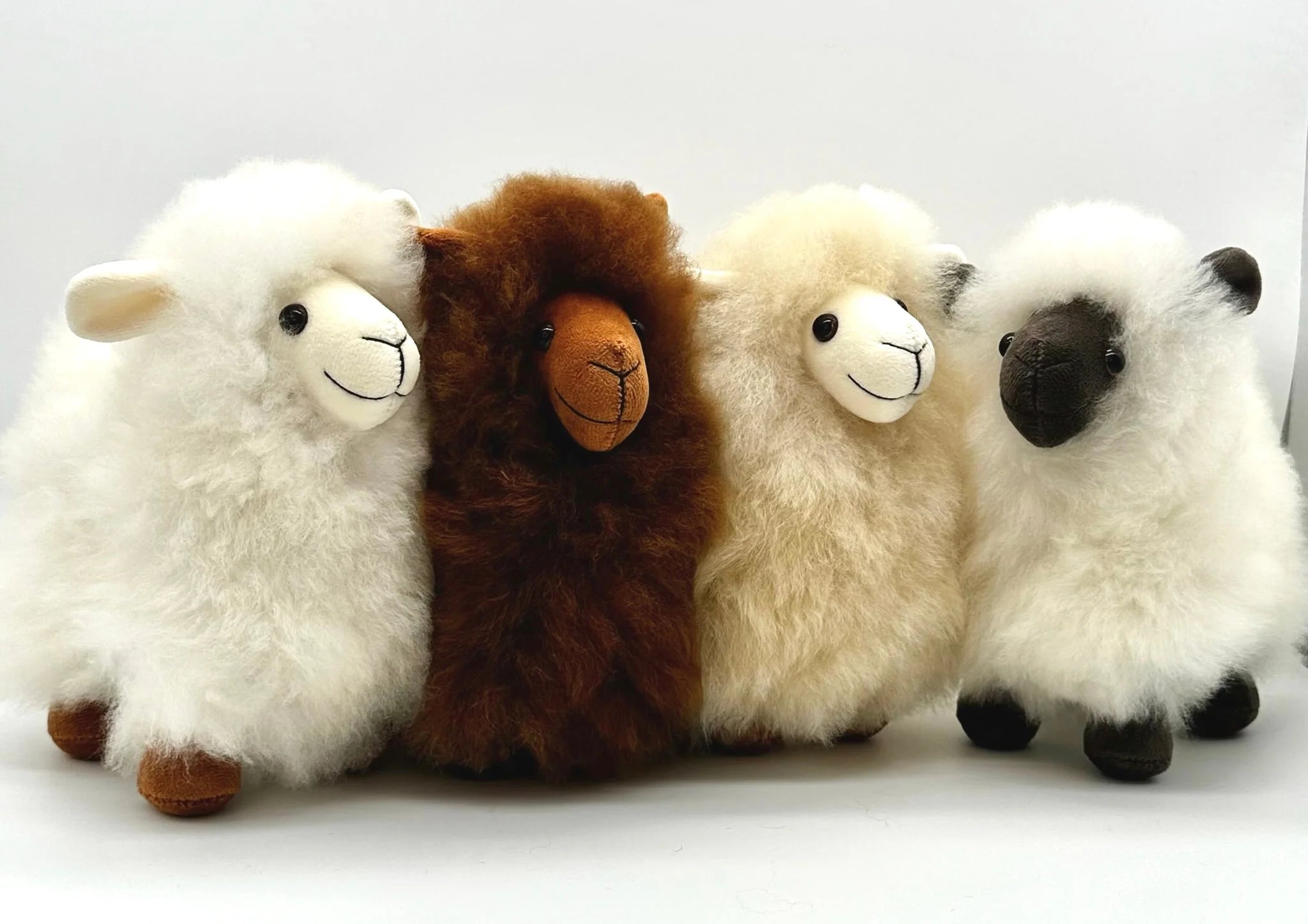 Lucky Lambs