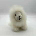 Lucky Lions (Small)