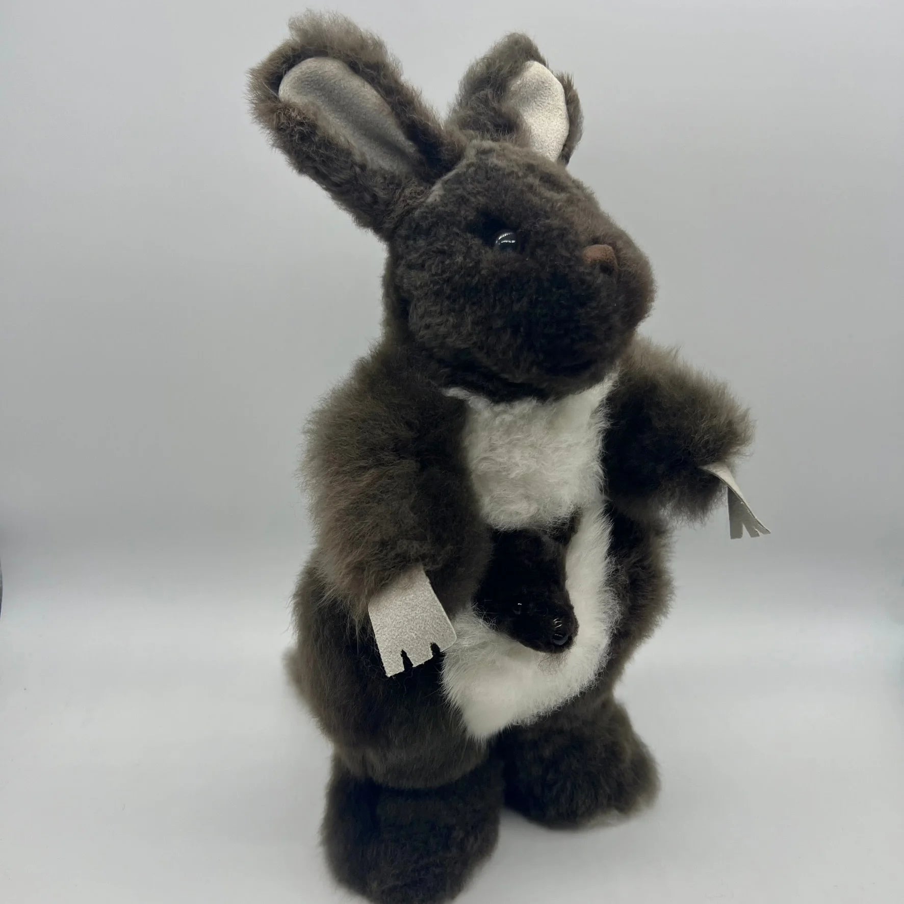 Lucky Kangaroos
