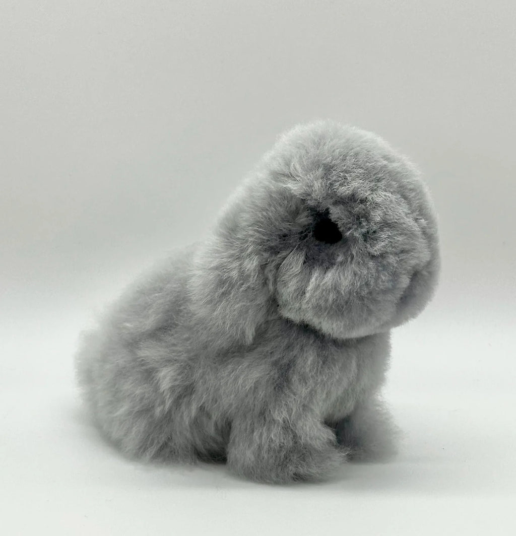 Lucky Bunnies