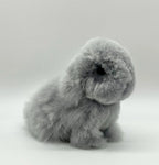 Lucky Bunnies