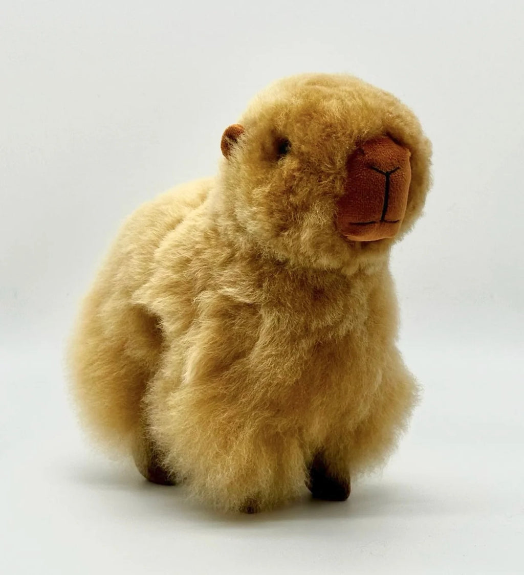 Lucky Capybaras