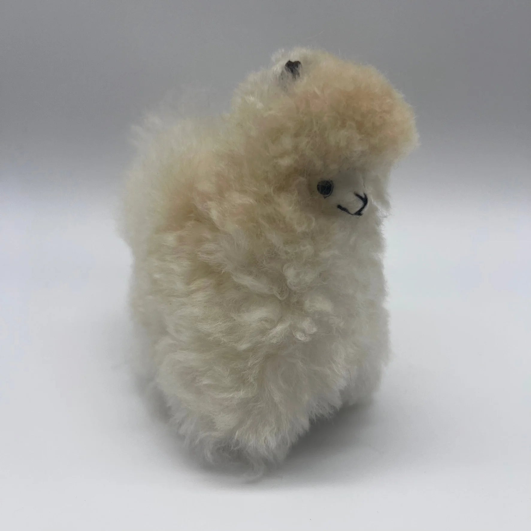Lucky Alpacas (Mini)