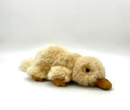 Lucky Platypus
