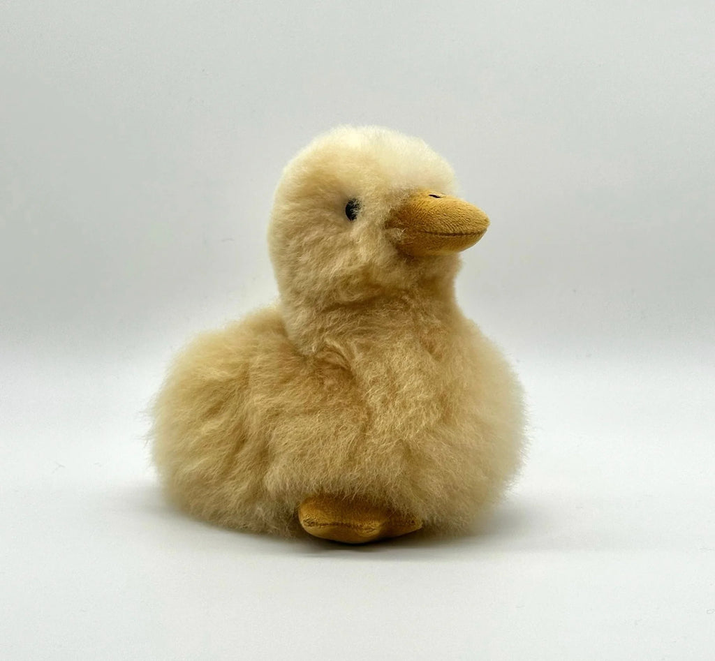 Lucky Ducks
