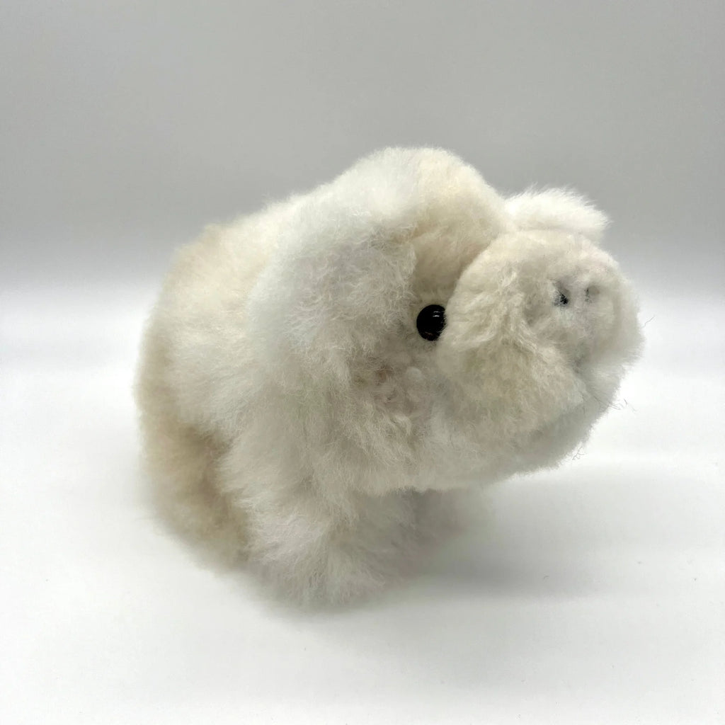 Lucky Pigs (Small)