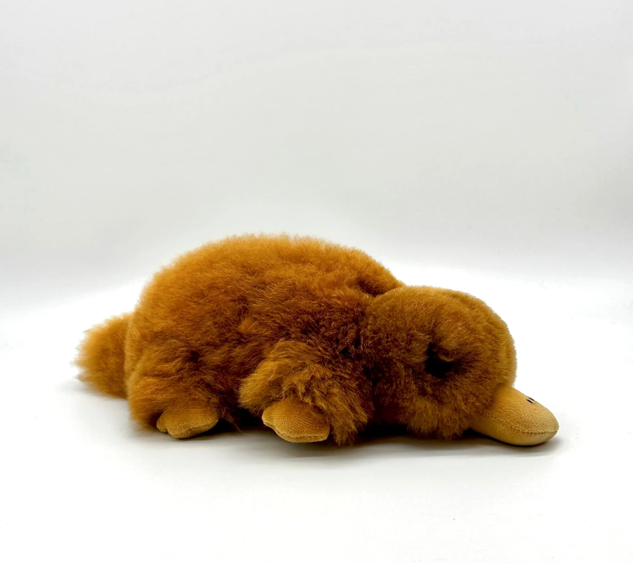Lucky Platypus