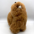 Lucky Alpacas (Large)