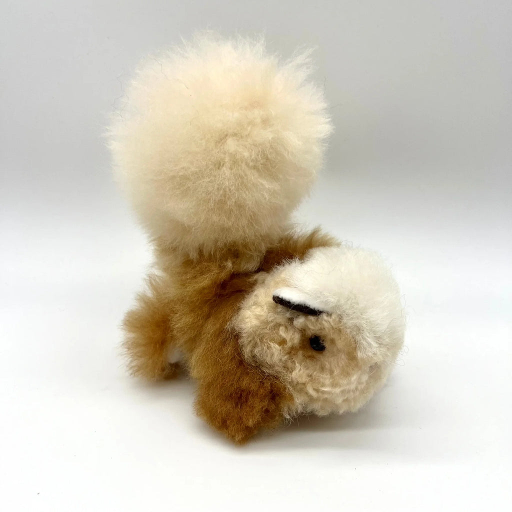 Lucky Squirrels