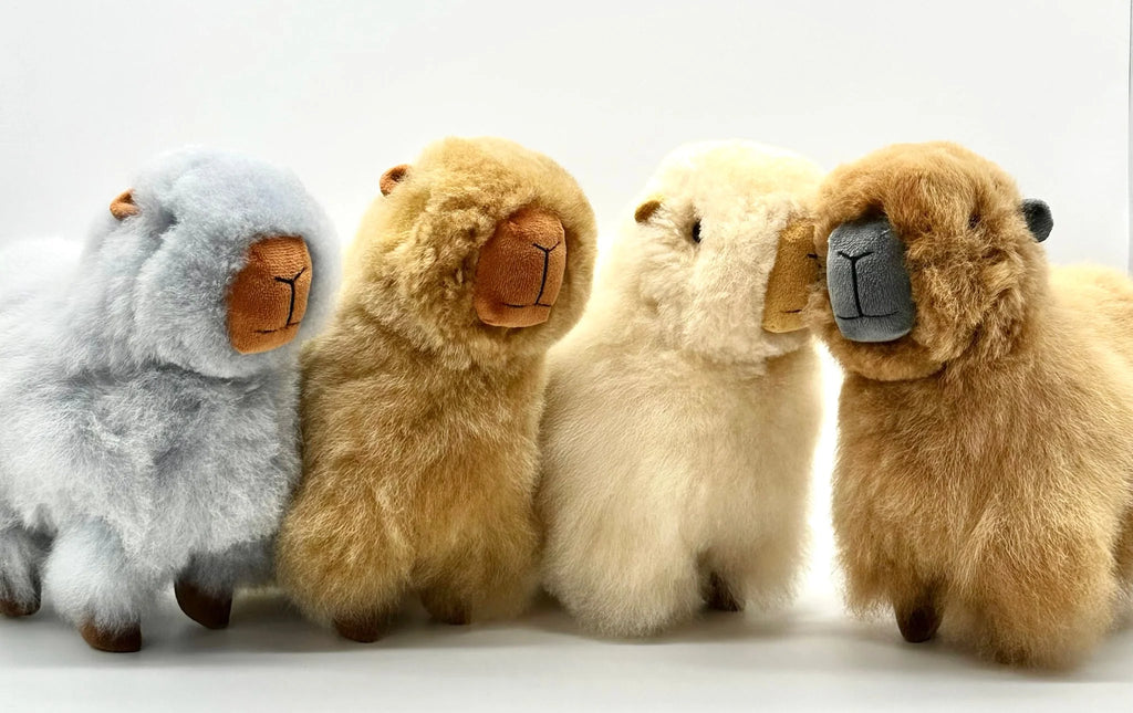 Lucky Capybaras