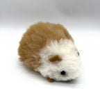 Lucky Cuy (Mini)