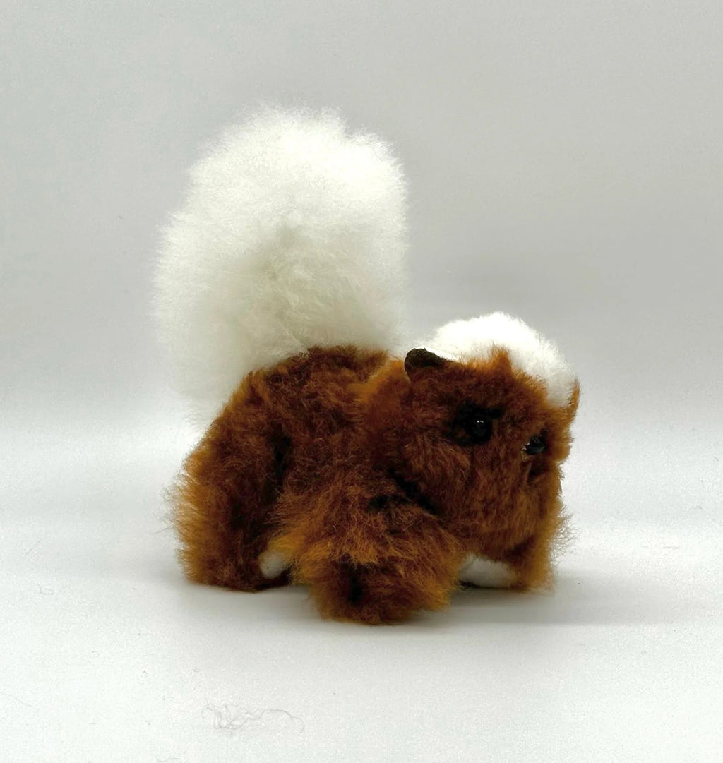 Lucky Squirrels