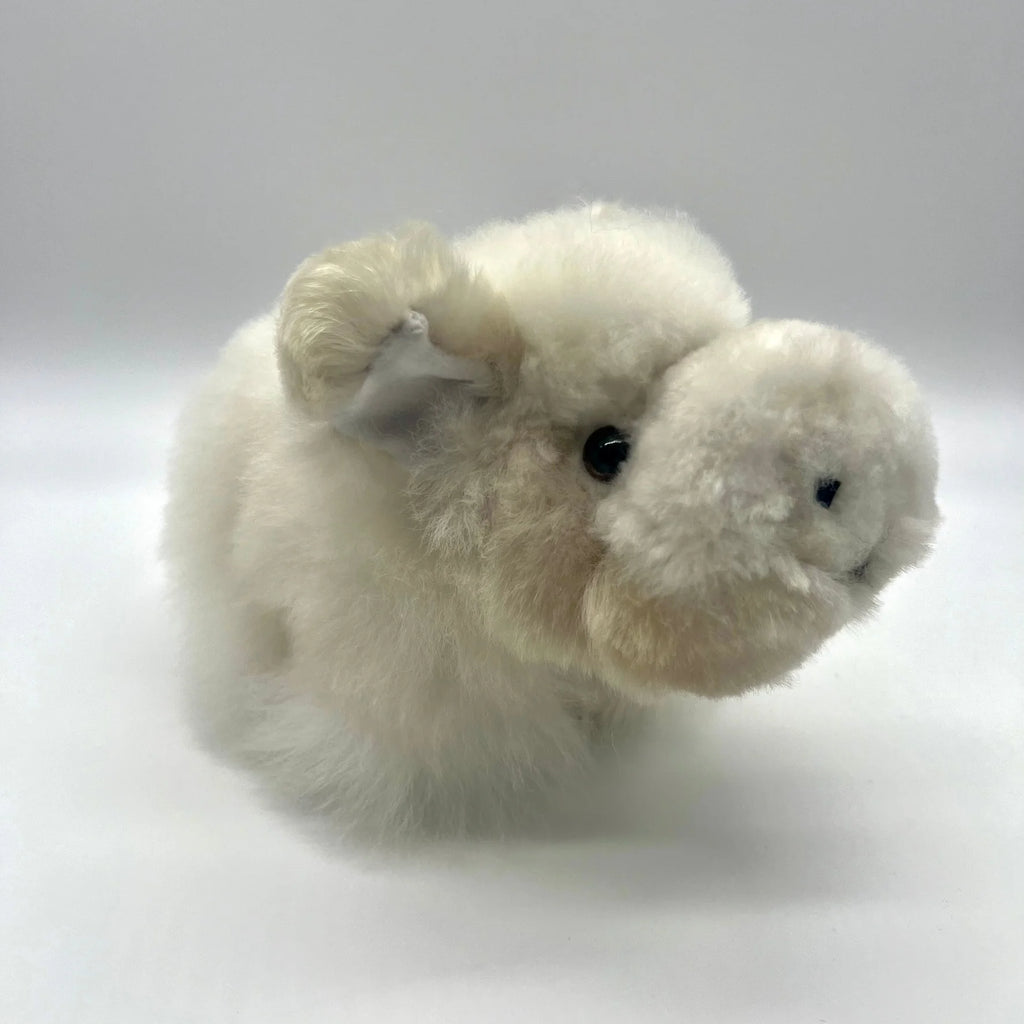 Lucky Pigs (Small)