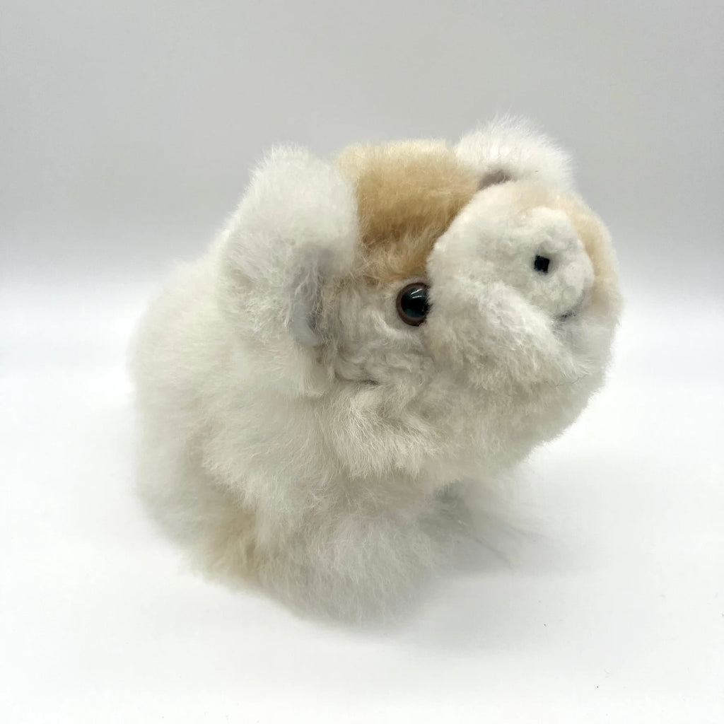Lucky Pigs (Small)