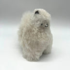 Lucky Alpacas (Mini)