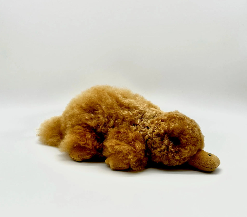 Lucky Platypus