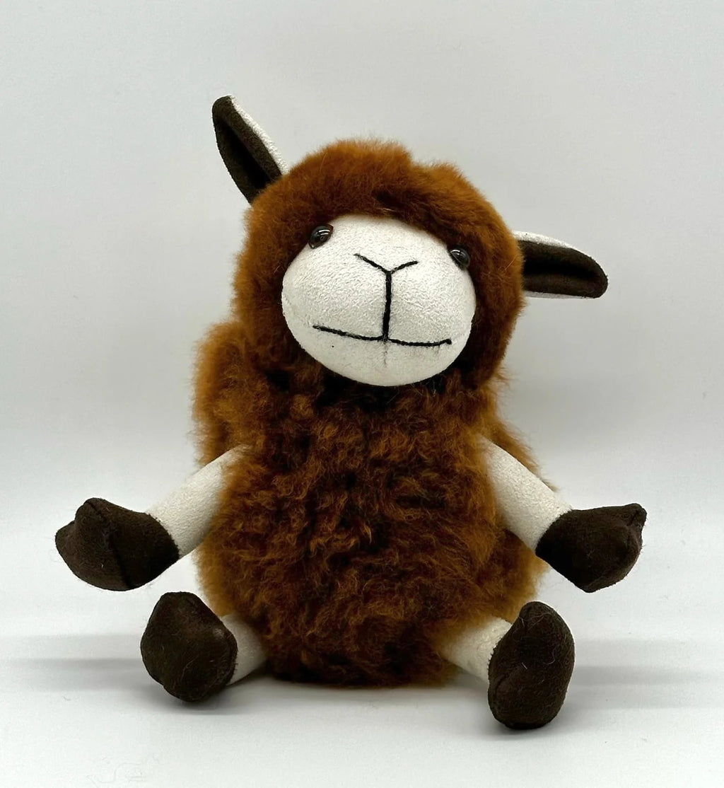 Lucky Sheep