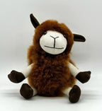 Lucky Sheep