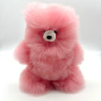 Lucky Teddy Bears (Small - Colors)