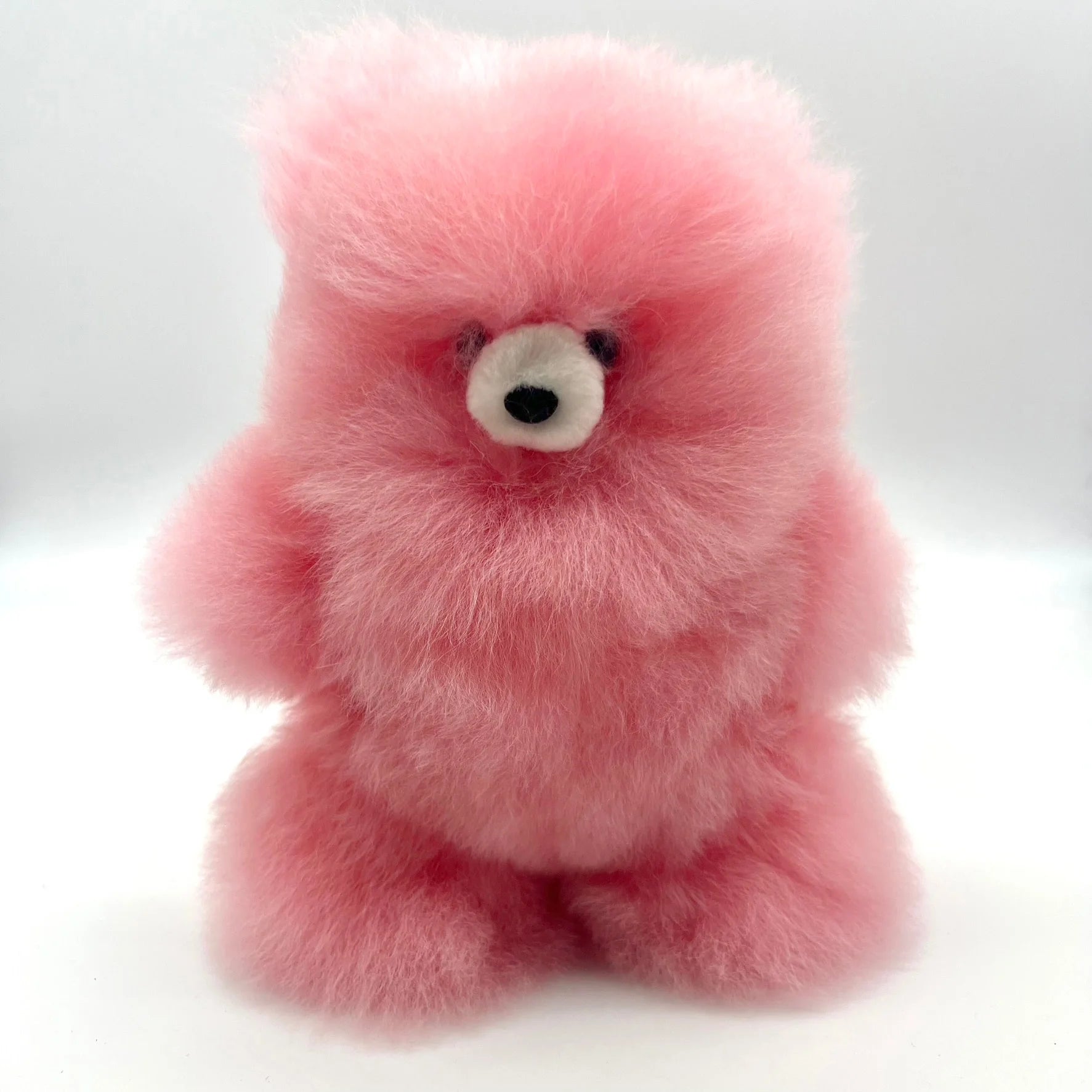 Lucky Teddy Bears (Small - Colors)
